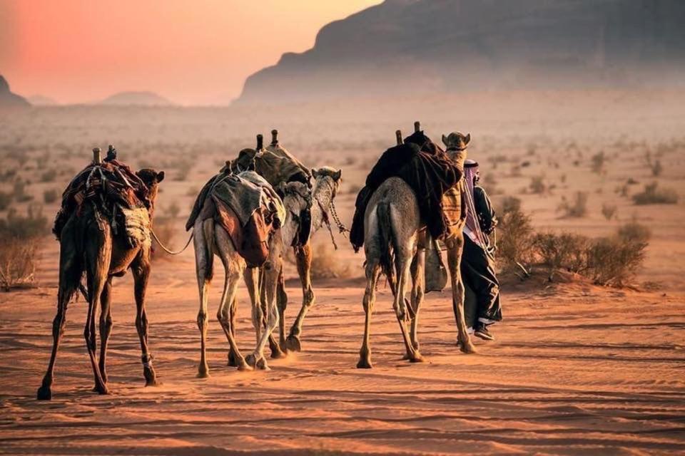 Tamim Luxury Wadi Rum Camp Esterno foto